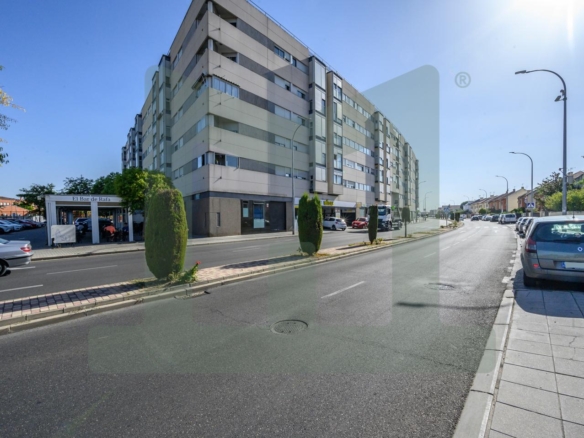 Avenida de Las Lagunas, 28981