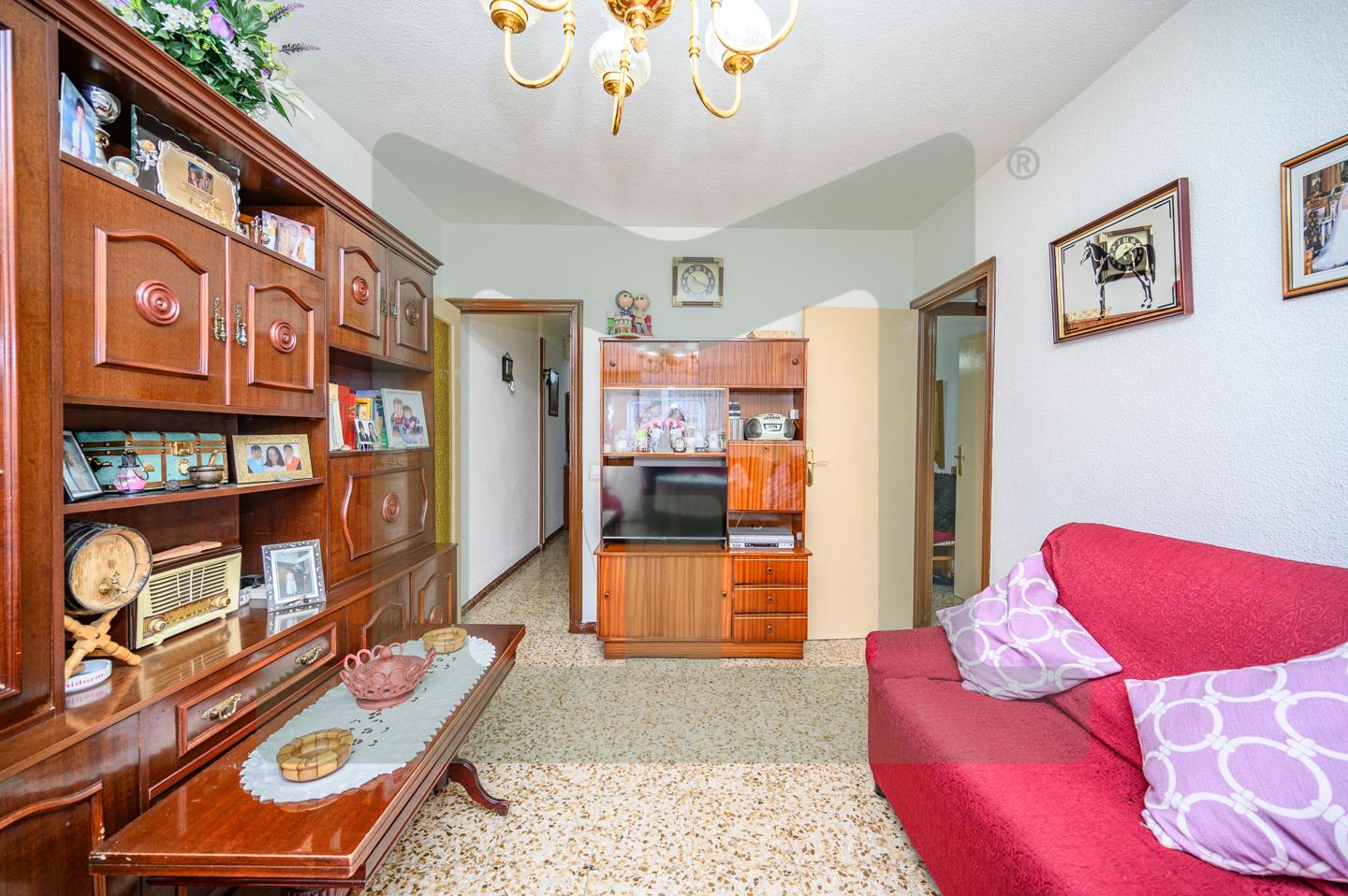 Calle Padilla, 28982