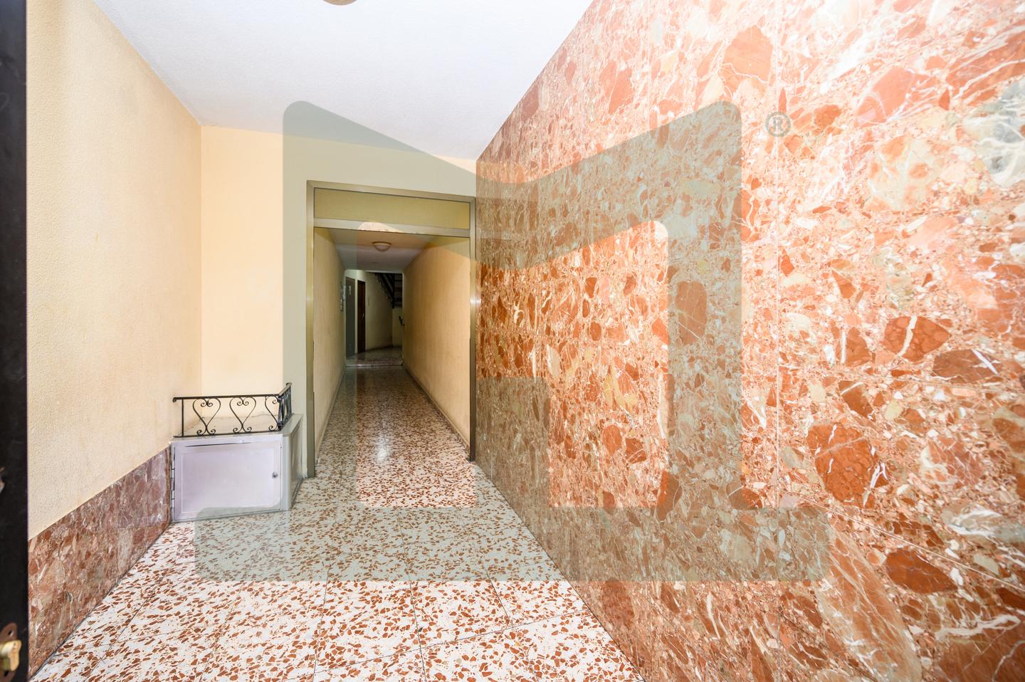 Calle Padilla, 28982
