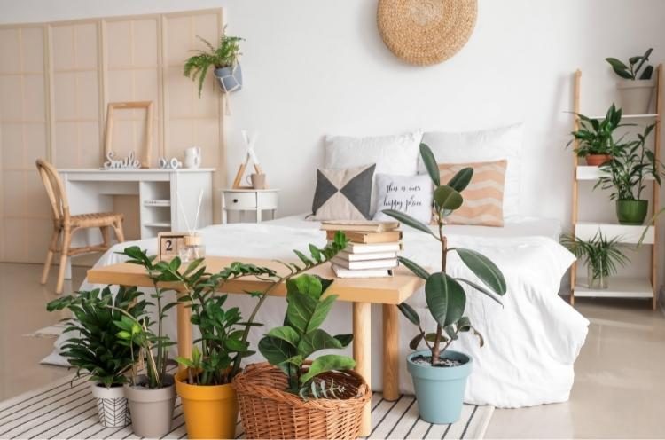 Dormir con plantas en el dormitorio